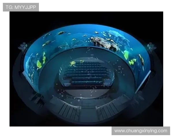 欧宝视讯不断创新技术，为用户打造沉浸式的虚拟娱乐环境体验